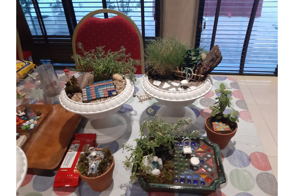 Miniature Garden Workshop 15-12-2022