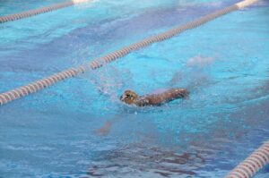 2. ANNUAL SWIMMING GALA 2.5.11-4