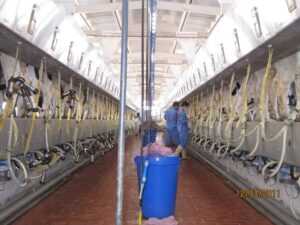 AL AIN DAIRY VISIT 12.3.11-10