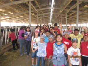 AL AIN DAIRY VISIT 12.3.11-14