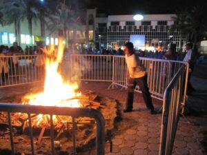 HOLI 2010-7