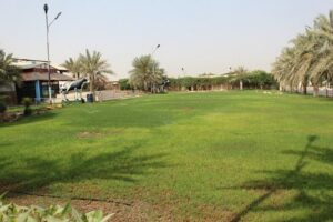 IMG_3386