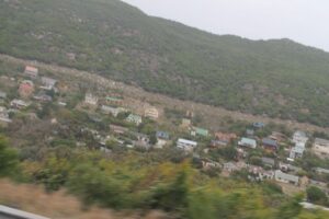 IMG_4602