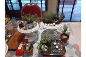 Miniature-Garden-Workshop-1