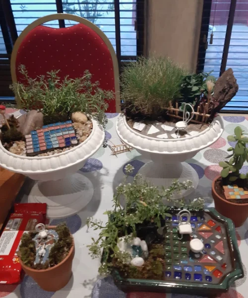 Miniature Garden Workshop 15-12-2022